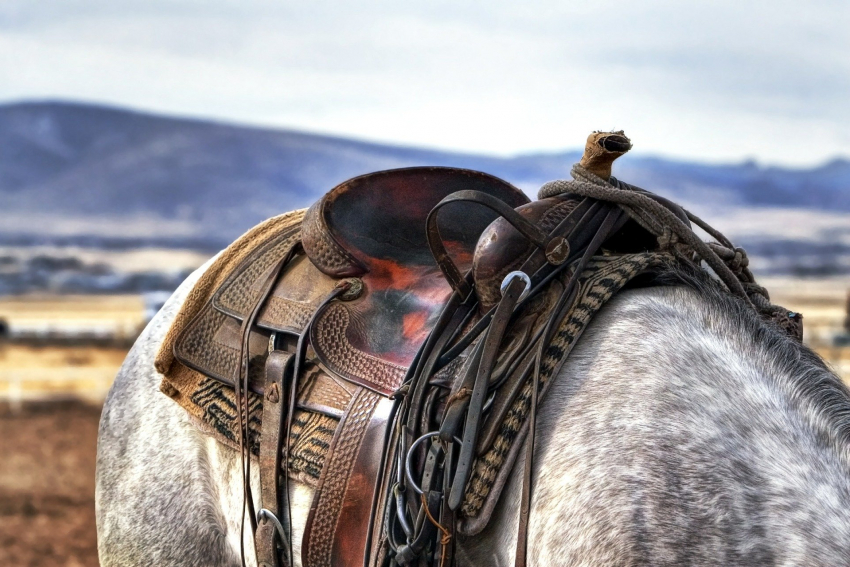 Ученые из Ростова назвали новую дату появления жесткого конного седла