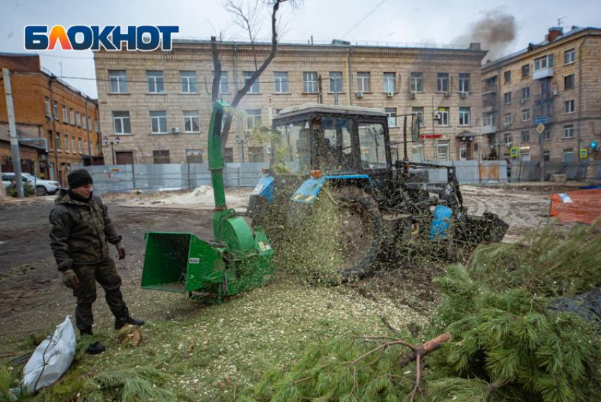 В Ростовской области рассказали о штрафах за выброшенные новогодние ели