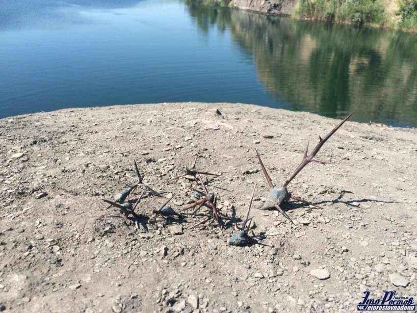 Дно озера в Ростовской области усыпано рукотворными «минами»
