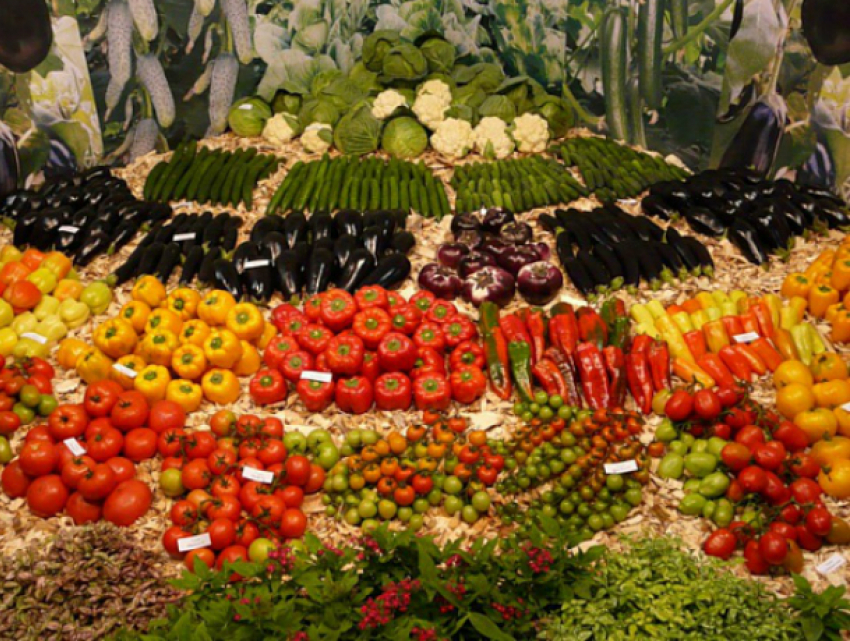 Ростовская область вошла в десятку лучших гастрономических регионов страны