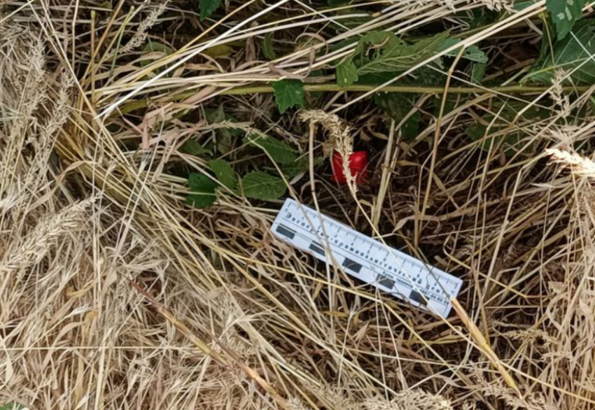 До 20 лет грозит паре из Ростовской области за 70 тайников с наркотиками в соседнем регионе