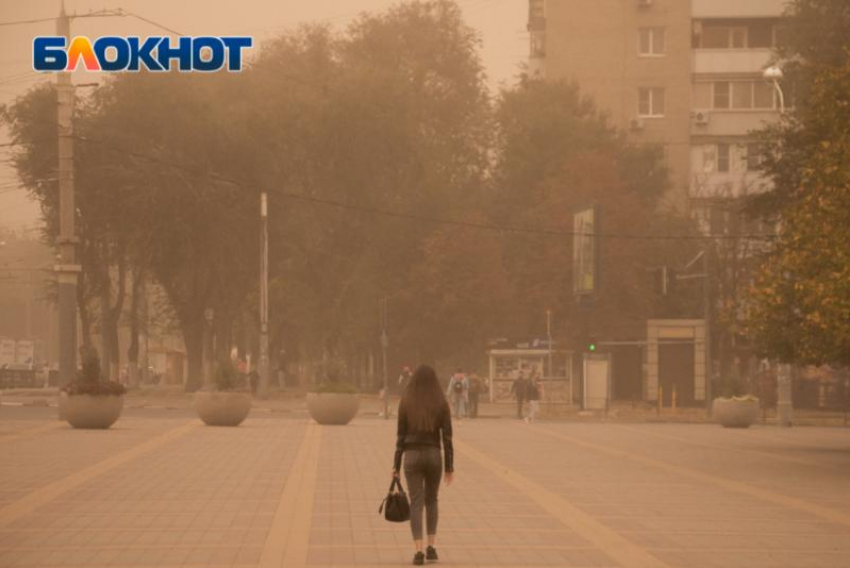 В Ростовскую область пришла сильная пылевая буря