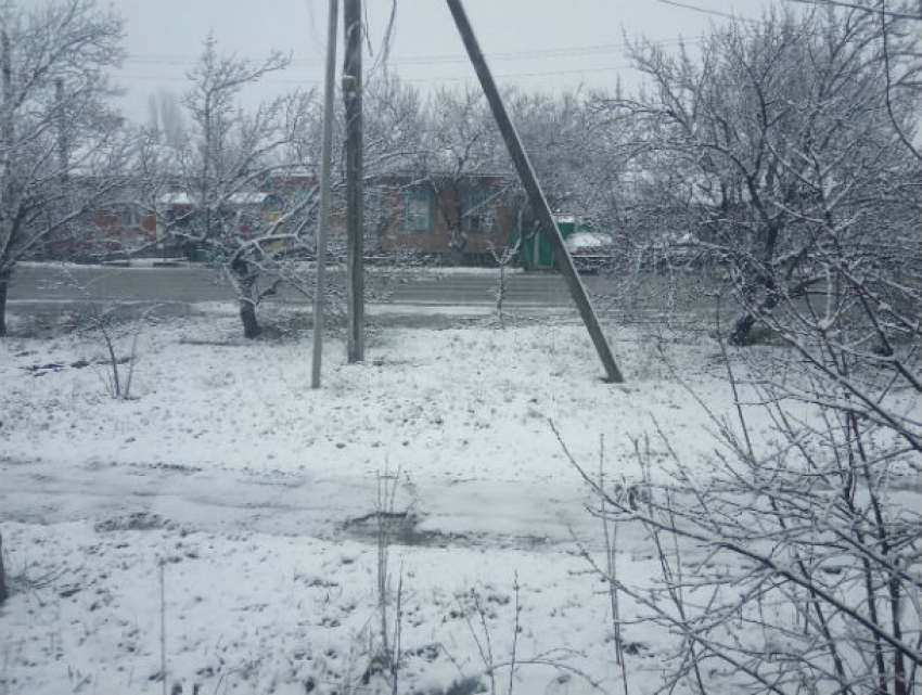 Зима вернулась: в Ростовской области снова выпал снег