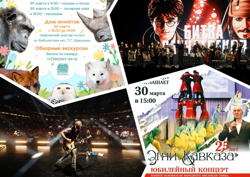 Слушаем «Зверей», наслаждаемся «Мелодией весны» и «Огнями Кавказа»: куда пойти в Ростове в эти выходные