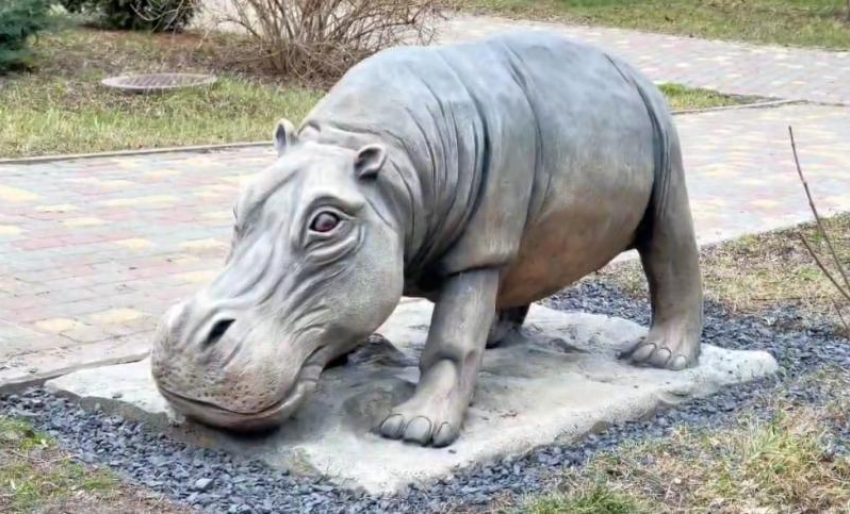 В Ростовском зоопарке установили памятник бегемоту Рифу