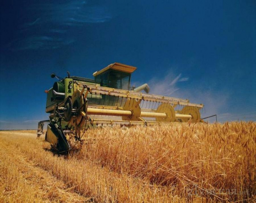 Василий Голубев: аграрии Ростовской области собрали рекордный урожай зерна
