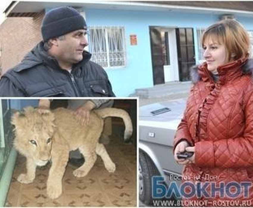 За львенком в Сальск приехала хозяйка из Дагестана