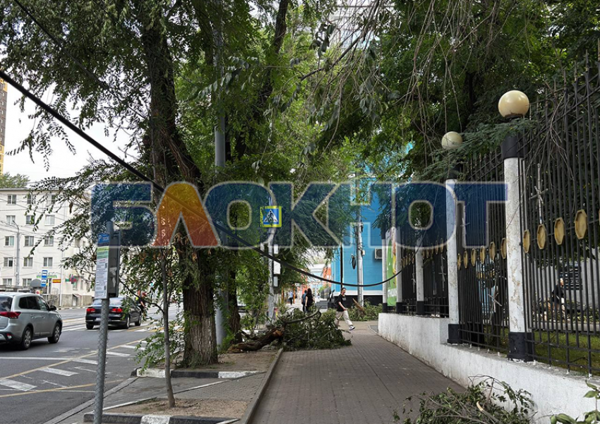 Пролетарский и Первомайский районы Ростова приняли на себя главный удар «урагана века»