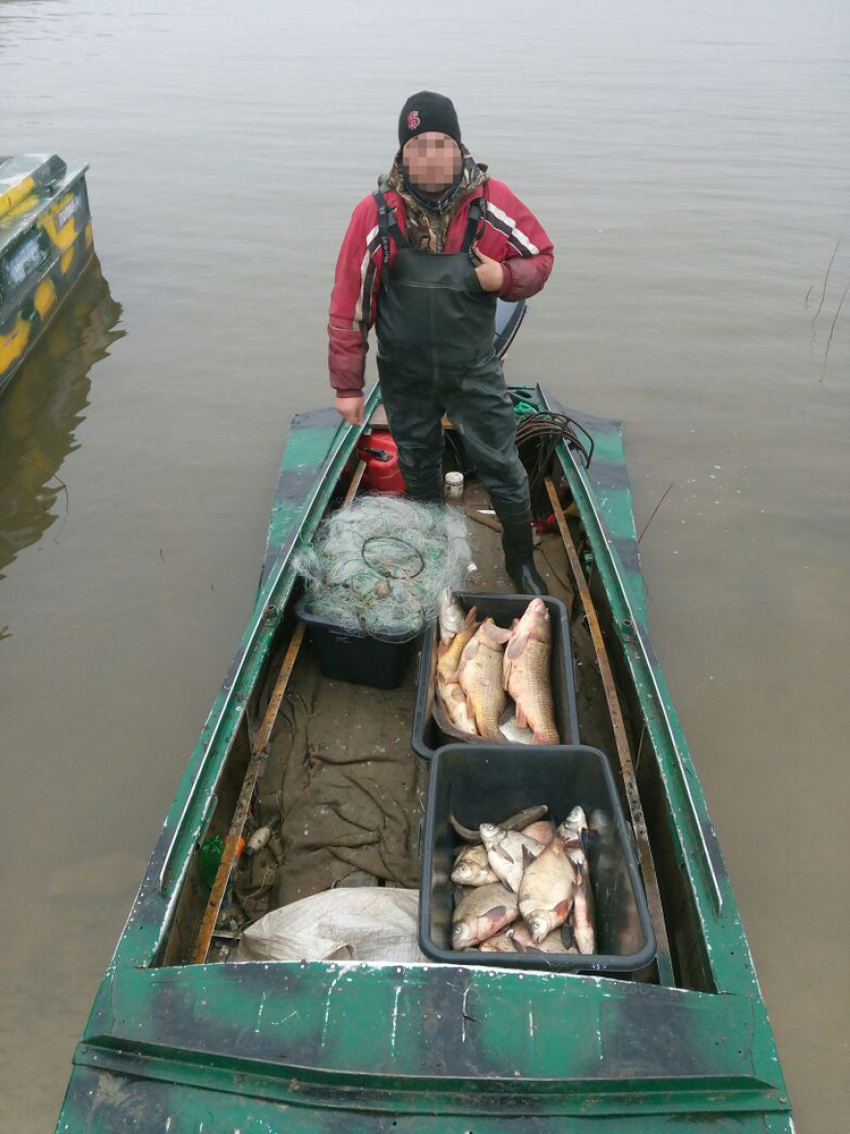 На Дону продолжается «Путина": у нарушителей изымают лодки и рыбу 