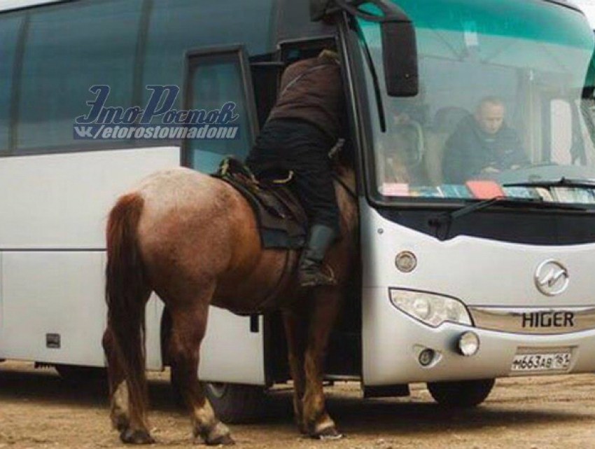 Лошадь в дверях междугороднего автобуса Ростова рассмешила пассажиров и попала на фото