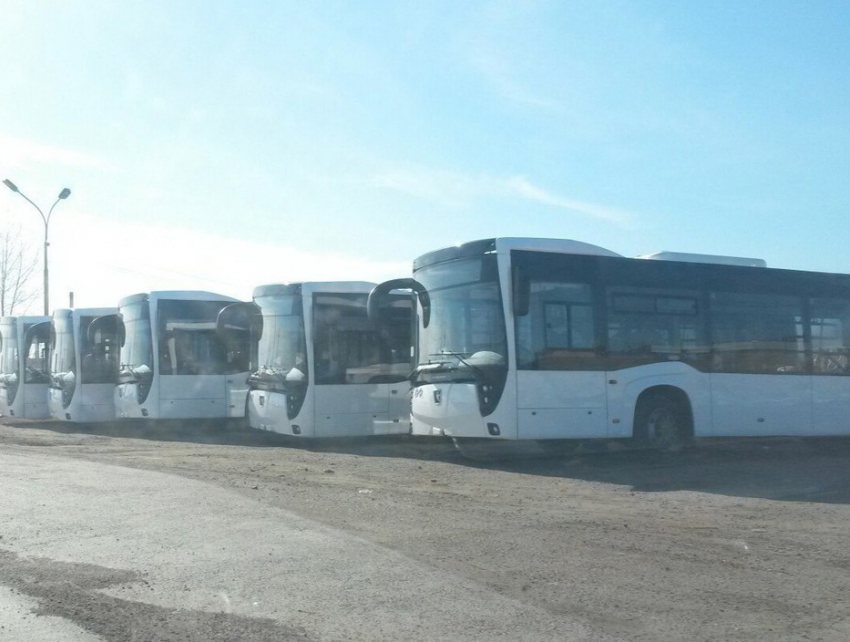 Ростов станет первым городом, который получит партию футуристического вида автобусов