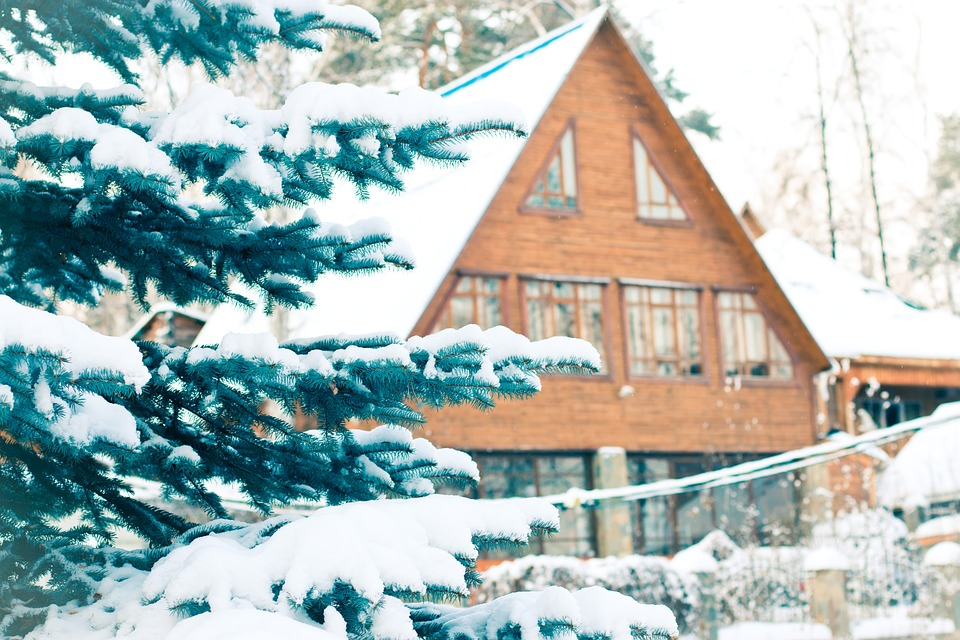 Не только чистить снег: чем ростовчанам заняться на даче в декабре