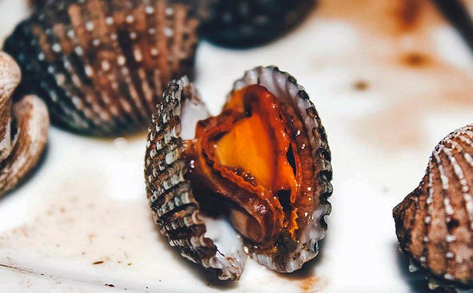 В Азовском море разрешили промысел завезенного из Азии уникального съедобного моллюска