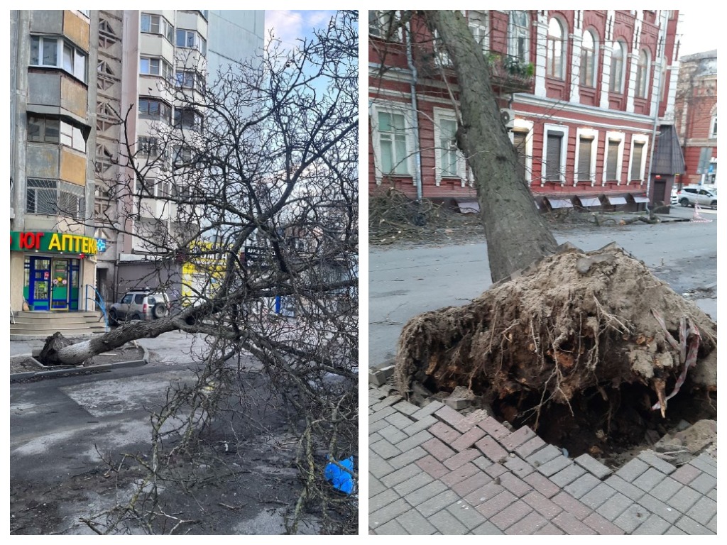 Вырванные с корнем деревья, подтопления и отключения электричества: в  Ростовской области бушует ураган