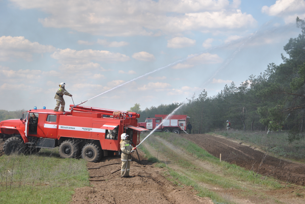 Крупный лесной пожар в Ростовской области ликвидирован. Фото: минприроды Ростовской области