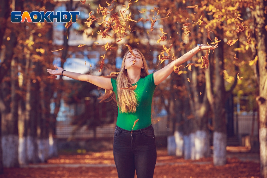 Лучшие кадры «золотой осени» в Ростове-на-Дону: фоторепортаж «Блокнота». Фото: Александр Прохорцев