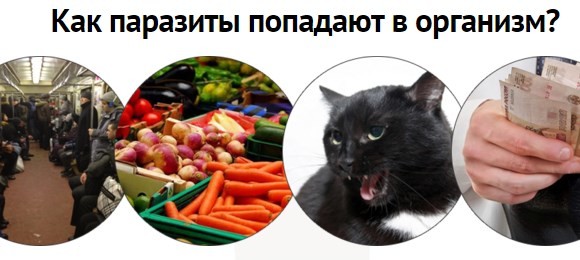 п3.jpg
