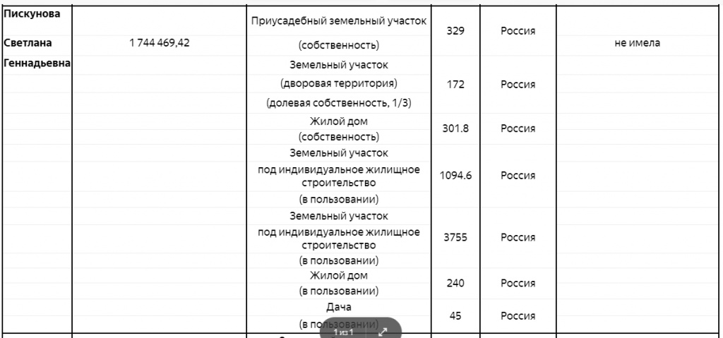 Доходы Светланы Пискуновой за 2018 год