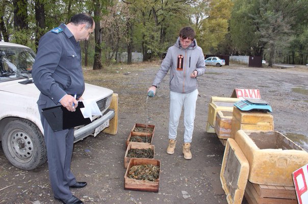 раки2.jpg