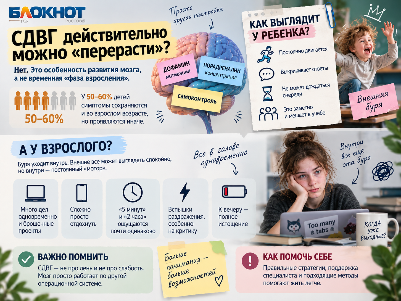 ChatGPT Image 14 сент. 2026 г., 16_51_15 (1).png