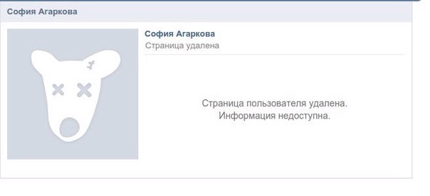 фоторабота1.jpg