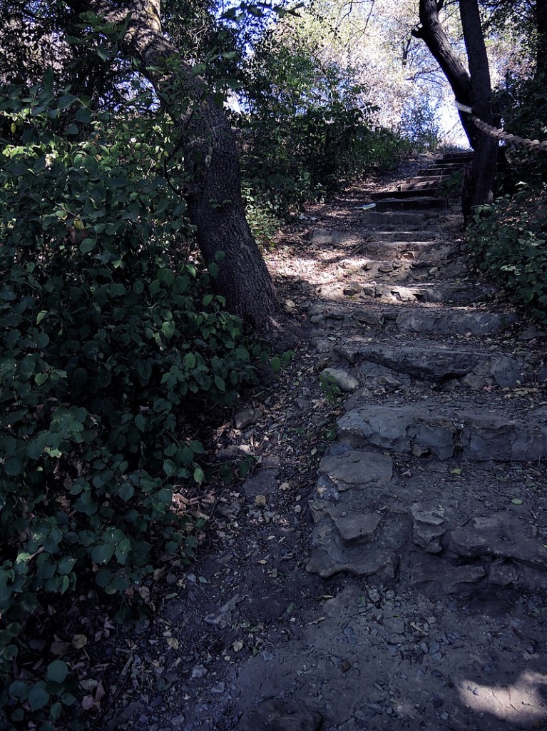 98765456789.JPG