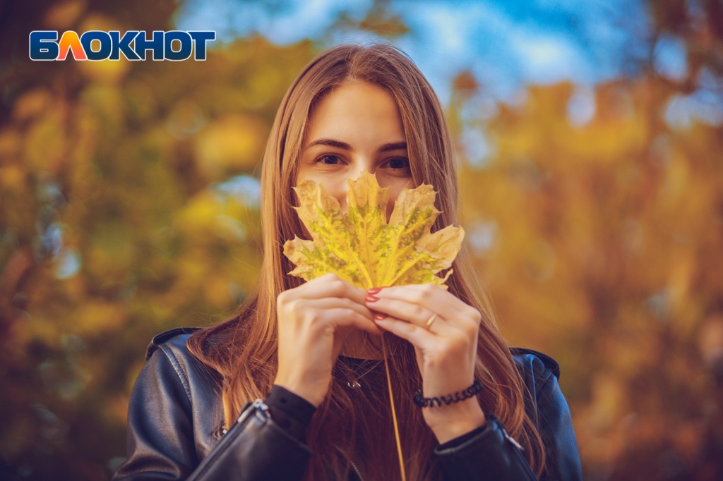 Лучшие кадры «золотой осени» в Ростове-на-Дону: фоторепортаж «Блокнота». Фото: Александр Прохорцев