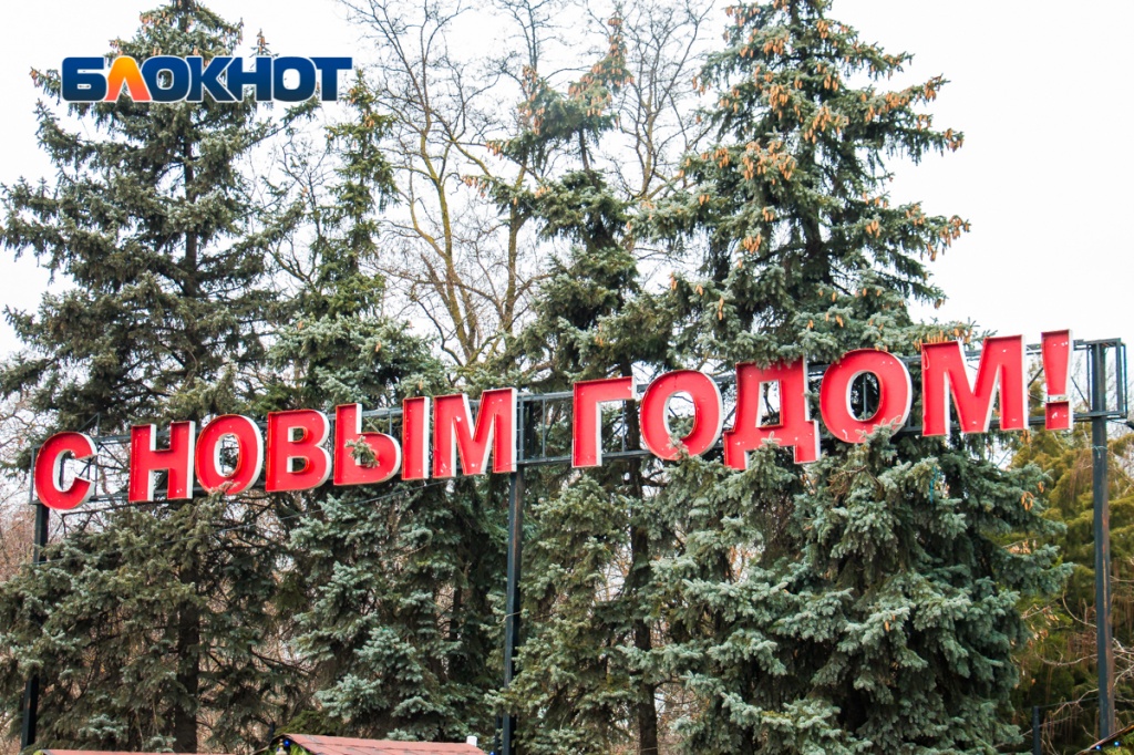 Где и когда в Ростове откроются новогодние елки. Фото: Александр Прохорцев