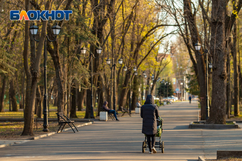 Весна, которую мы пропускаем: фоторепортаж с цветущих улиц Ростова. Фото: Александр Прохорцев