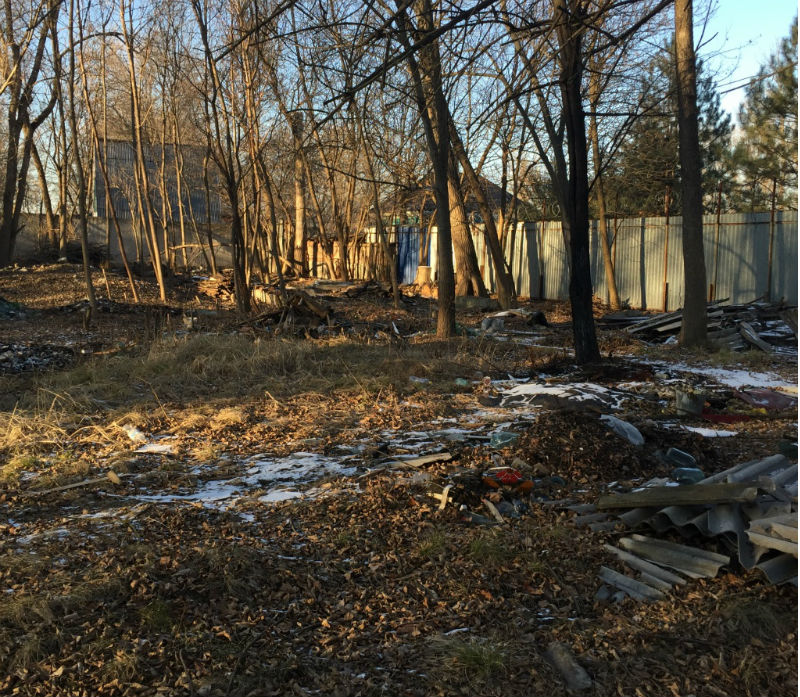 берег дона.JPG