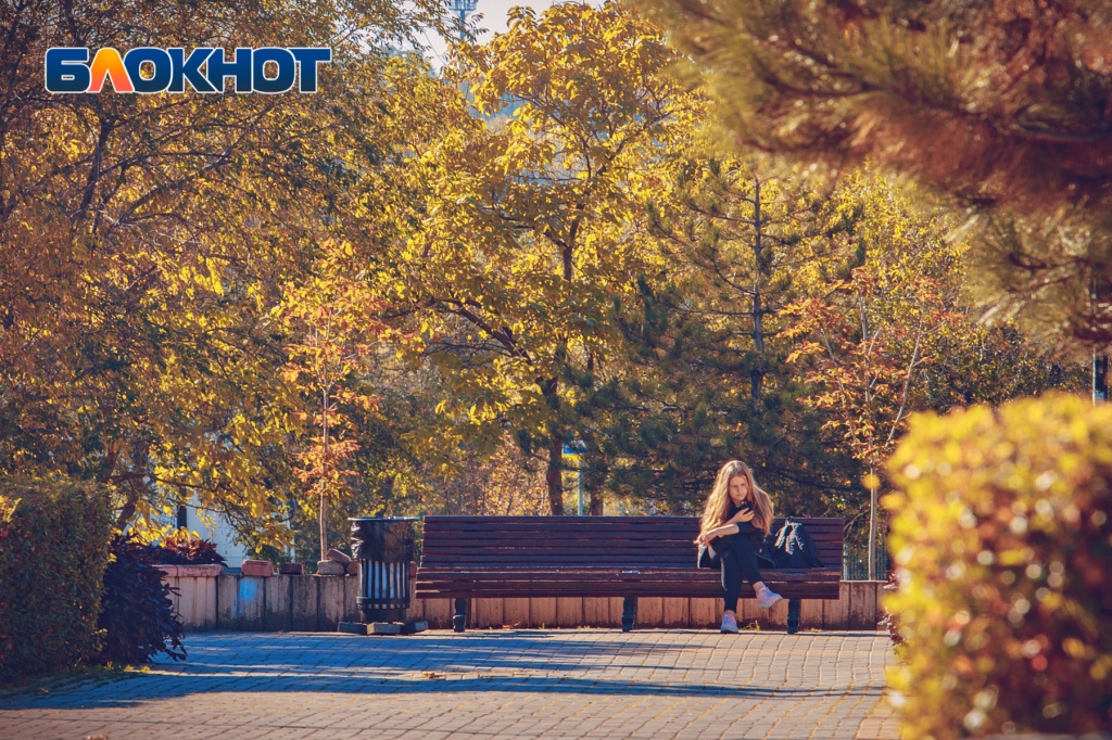 Лучшие кадры «золотой осени» в Ростове-на-Дону: фоторепортаж «Блокнота». Фото: Александр Прохорцев