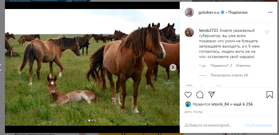 Пользователи раскритиковали губернатора Ростовской области за фото природы в инстаграме Пользователи раскритиковали губернатора Ростовской области за фото природы в инстаграме