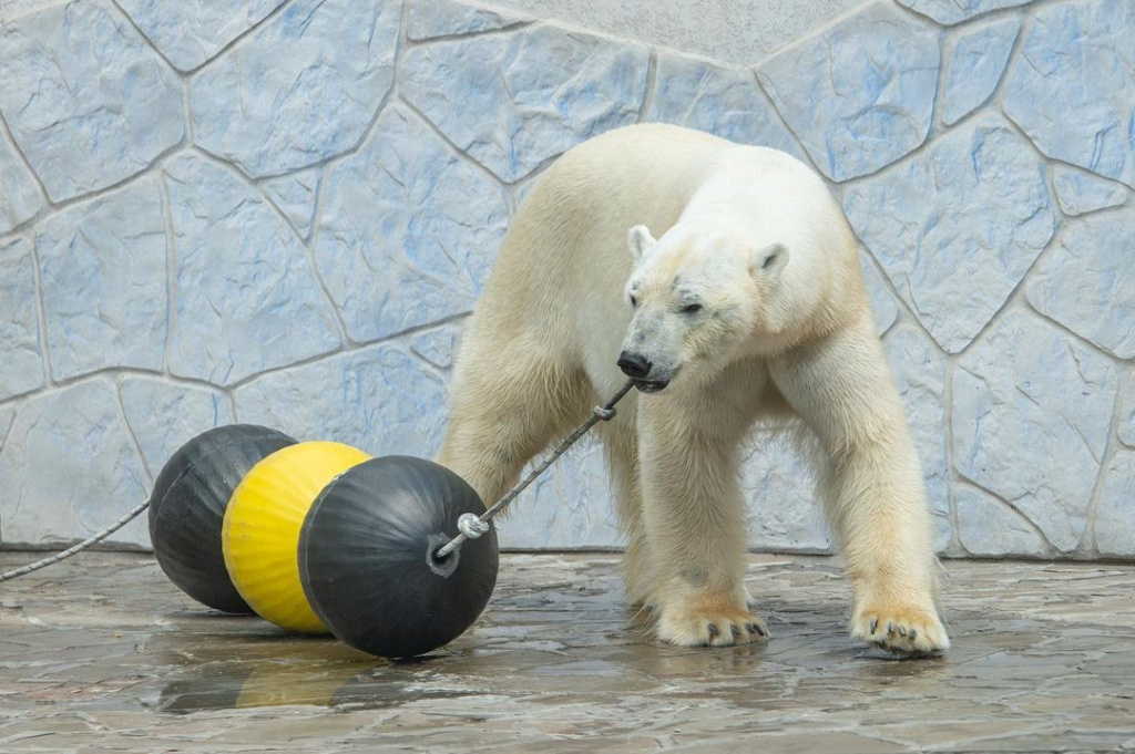 rostov_zoo_official-246898780_339198304643295_3886430074270459239_n.jpg
