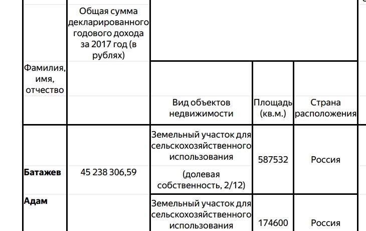 батажев_декларация2017.jpg
