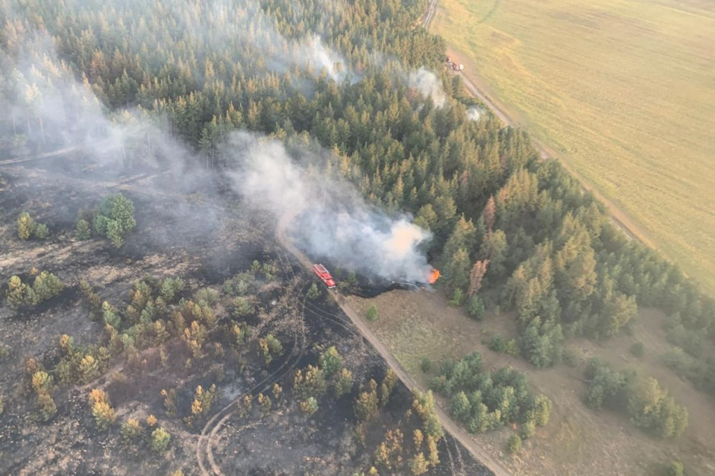 В Ростовской области потушили крупный лесной пожар в Цимлянском районе.
